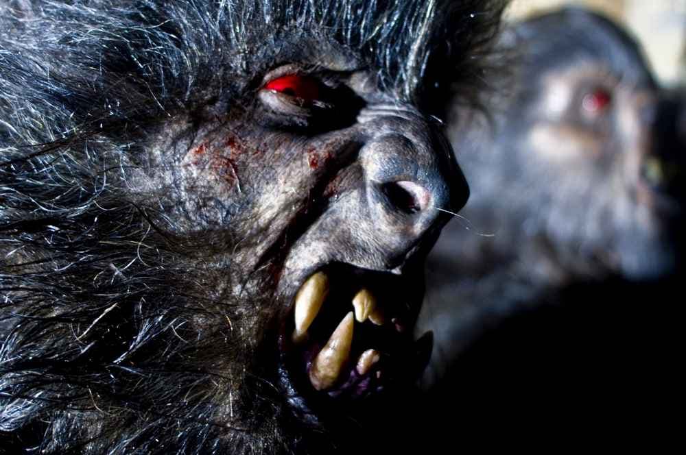 Estreno de "Lobos de Arga": 13 de julio